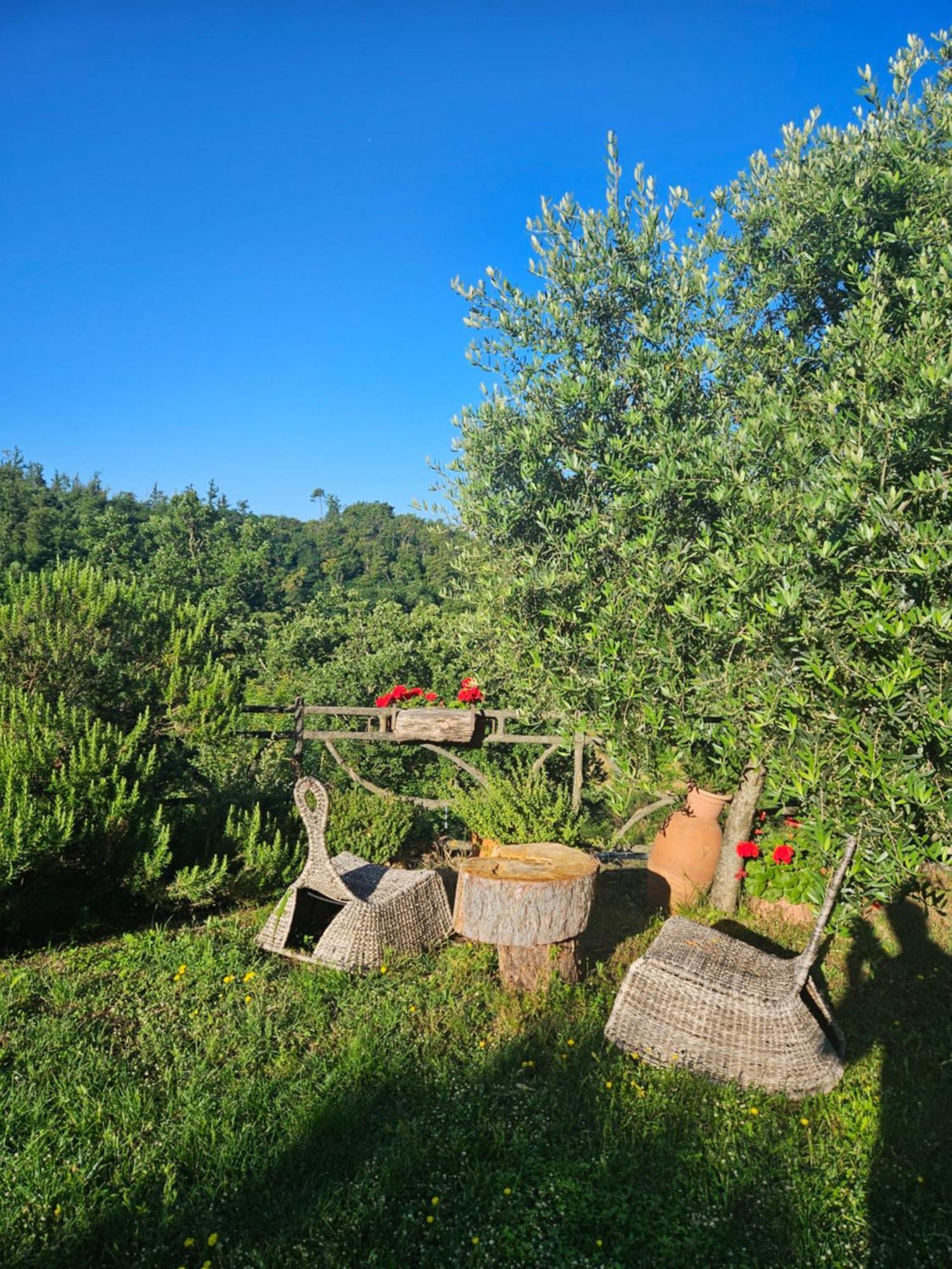 San Martino Villa&Country Resort Barberino di Mugello Exterior foto